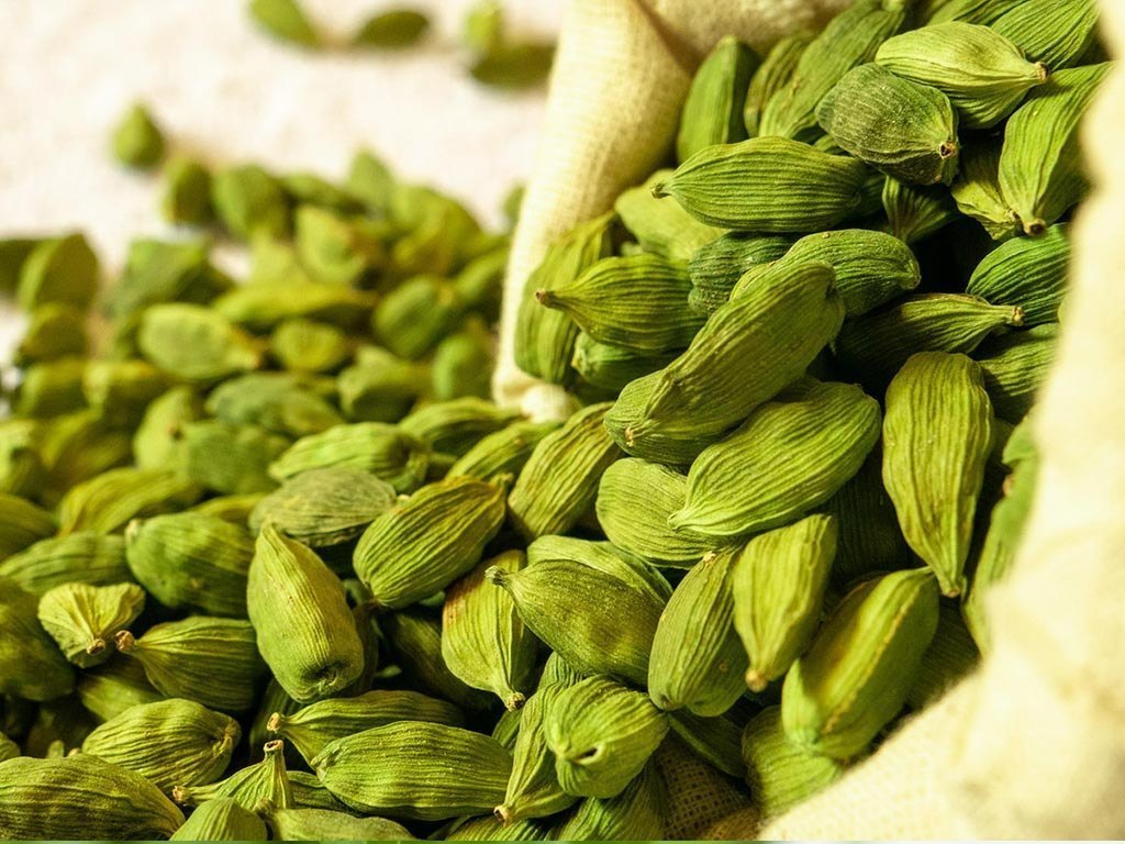 Coorg Green Cardamom- Premium