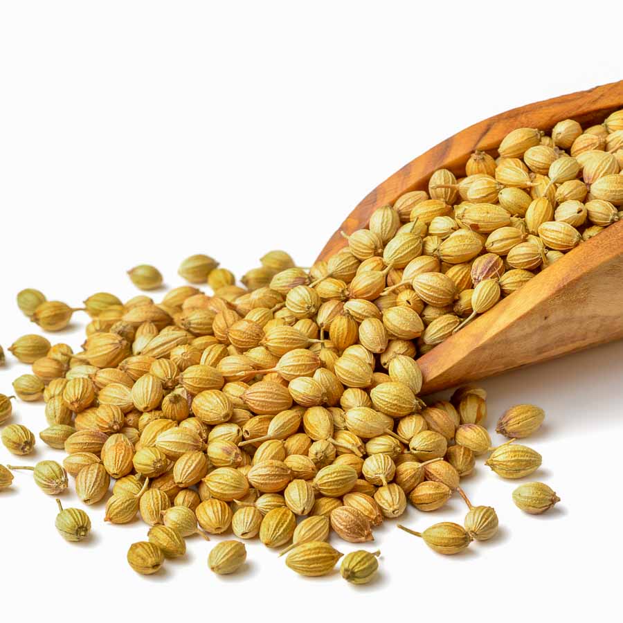 Organic Coriander Seeds