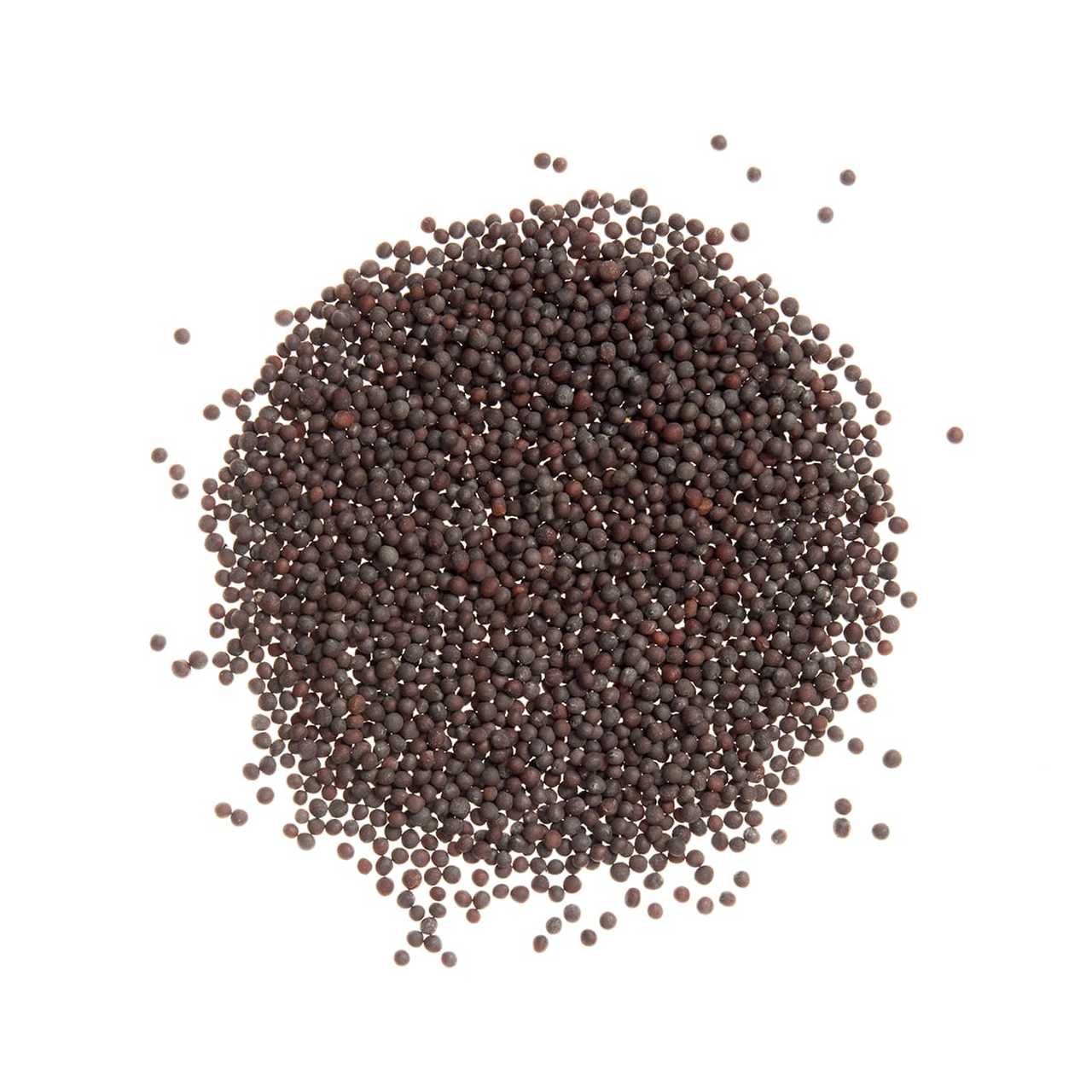 Organic Mustard Seeds