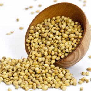 Organic Coriander Seeds